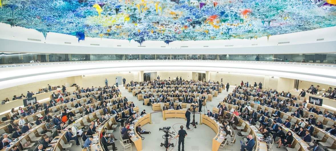 Глава МИД Армении выступит в Женеве на сессии Совета ООН по правам человека