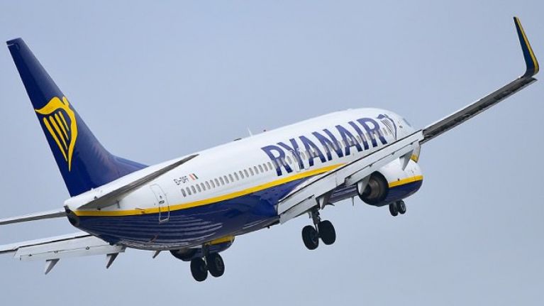 В Ryanair заявили об указании Беларуси посадить самолет с Протасевичем в Минске — Deutsche Welle