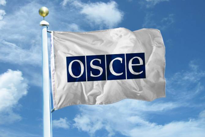Анджей Каспршик: ОБСЕ временно прекращает мониторинг на линии соприкосновения