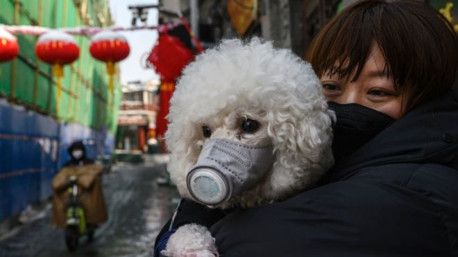 Динамика коронавируса в мире: США вышли на первое место по числу заражений, обогнав Китай