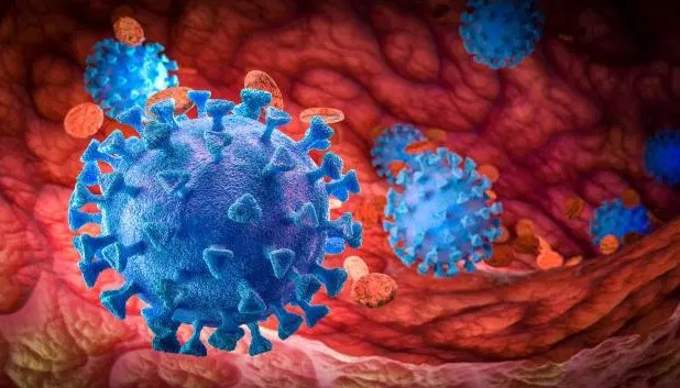 «Гибридная» пандемия: испытание коронавирусом