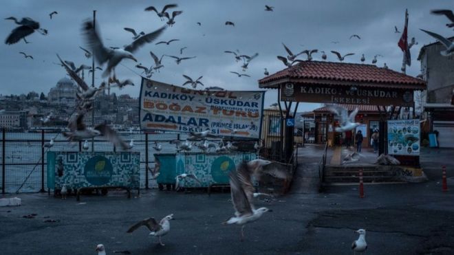 ВВС. Коронавирус в Турции: очереди, аресты и политическая драма