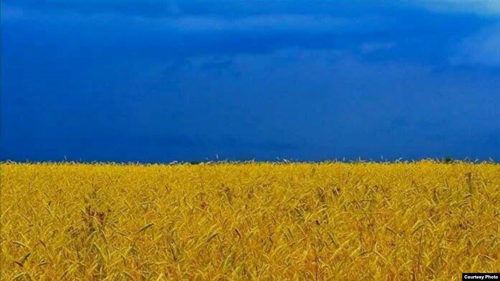 Президент Украины подписал исторический закон о купле-продаже сельскохозяйственной земли