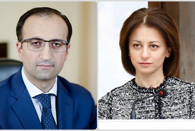 Министры здравоохранения Армении и Грузии обсудили возможности взаимопомощи