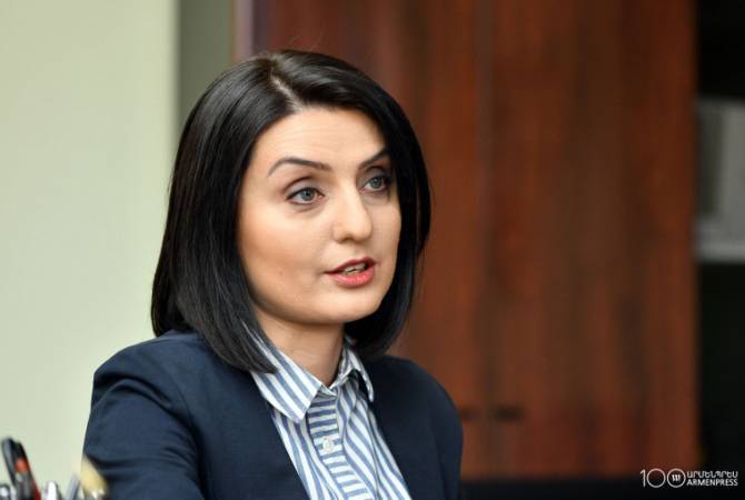 Правительство Армении разрабатывает программы соцпомощи и интеграции для ливанских армян