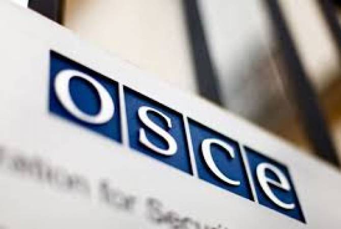 Постоянный совет ОБСЕ подтверждает: нужно немедленное прекращение огня