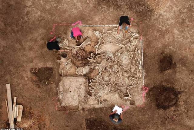 «Cамая важная находка за 40 лет»: в Германии обнаружили гробницу возрастом полторы тысячи лет