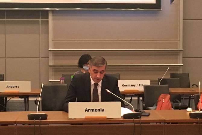 Постпред Армении представил в совете ОБСЕ турецко-азербайджанскую агрессию против армян: подробности