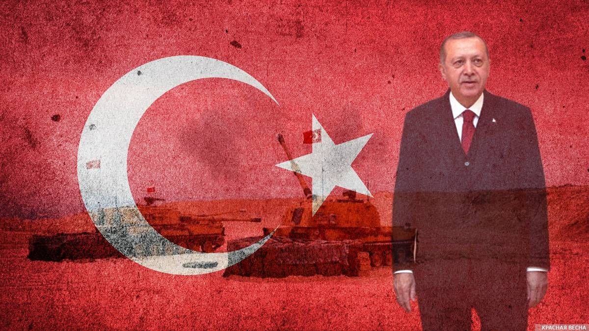 The Spectator: арабские государства ведут борьбу с «неоосманизмом» Турции