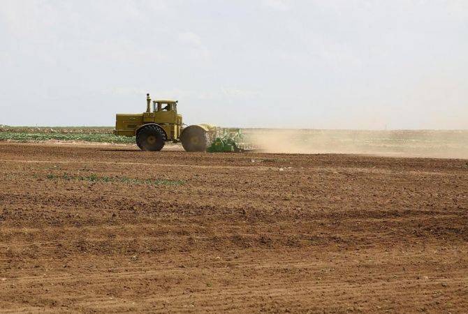 Более 15 000 га пахотных земель Мартуни остались под контролем Азербайджана: администрация