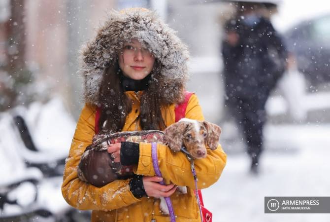 Снег, метели, морозы в ближайшую неделю: на Армению надвигается мощный циклон