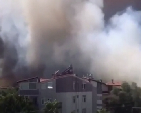 При крупном лесном пожаре в Анталье пострадали 53 человека. РИА Новости