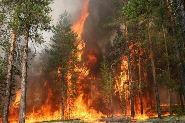 В России авиакомпании несут убытки от задержки и отмены рейсов из-за лесных пожаров