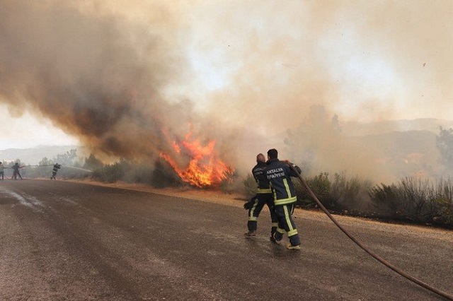 Тушение семи лесных пожаров продолжается на юге Турции. РИА Новости
