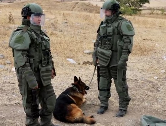 Российские миротворцы провели очистку местности вдоль линии разграничения в Нагорном Карабахе от взрывоопасных предметов с привлечением поисковых собак