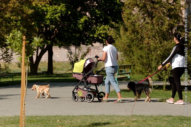 В Ереване появятся парки для выгула собак