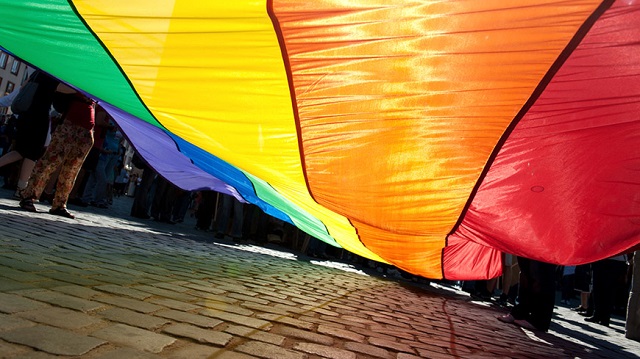 Исполнение постановлений ЕСПЧ: новый информационный бюллетень о правах лиц ЛГБТИ