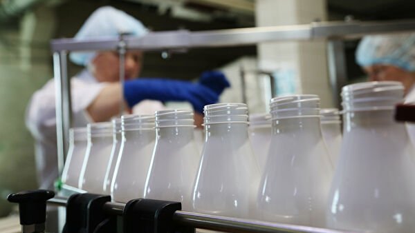 Продукты, содержащие молочный жир, на полках магазинов разместят отдельно