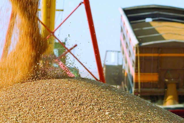 ЮКЖД ввела скидки на импорт зерновых на 2022 год