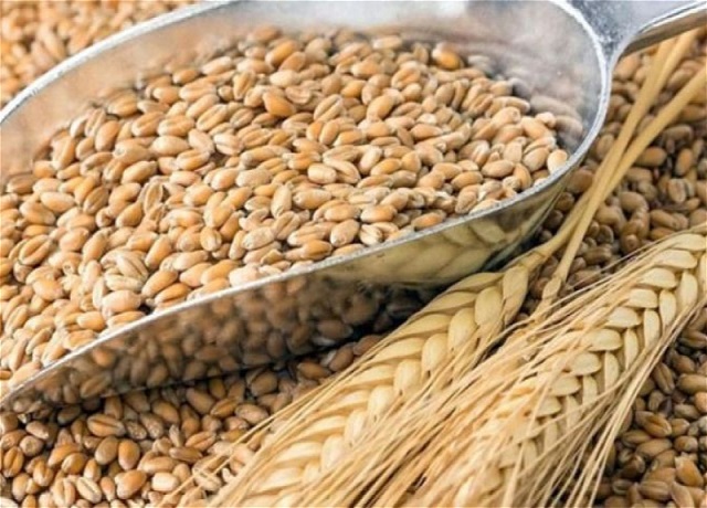 Запасы пшеницы в Грузии заканчиваются, мельницы скоро остановятся. JAMnews