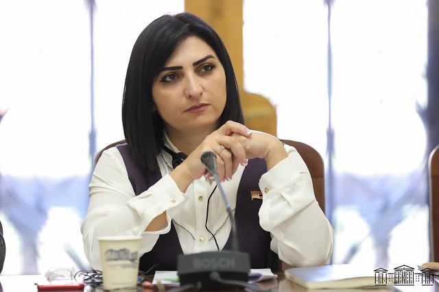 «Азербайджан в ближайшей перспективе будет стремиться создать в Арцахе гуманитарную катастрофу, чтобы претворить в жизнь свои геноцидальные программы». Тагуи Товмасян