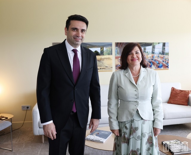 Стороны обсудили вопросы, связанные с ролью ПАСЕ в укреплении демократии в Армении, в частности, работу содокладчиков Мониторинговой комиссии