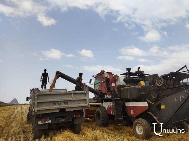 В этом году половина урожая зерновых в приграничном Киранце погибла