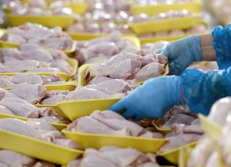 Снят запрет на ввоз из Китая живой птицы, продуктов птицеводства и ряда других товаров