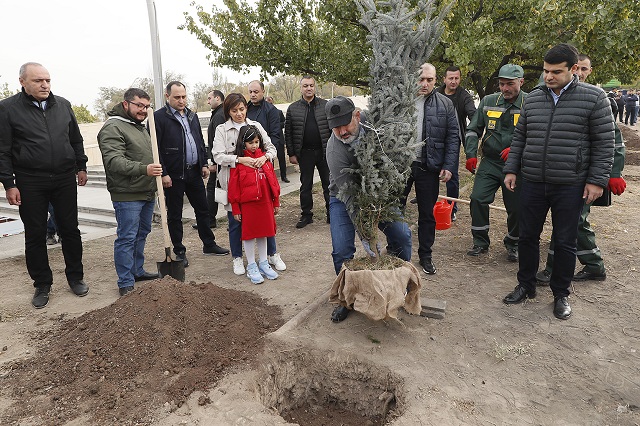 Премьер-министр вместе с семьей принял участие в организованной в Ереване посадке деревьев