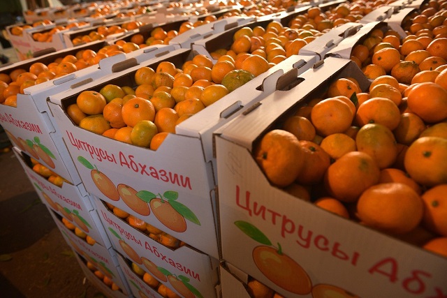 Абхазские мандарины не могут попасть в Россию из-за усиленной проверки на границе. JAMnews