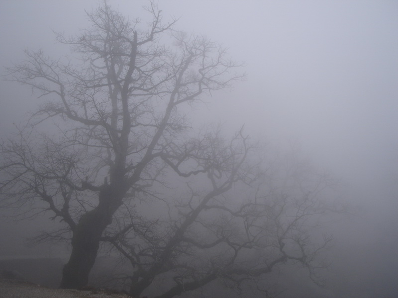 В высокогорных местах Сюникского региона наблюдается туман