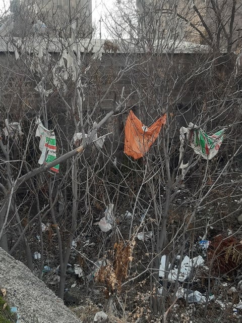 «Новогоднее украшение» деревьев улицы Брюсова…мусорными пакетами