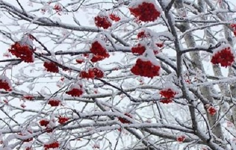 Днем 21-22 января в регионах Лори, Тавуш, Сюник и в Арцахе температура воздуха понизится на 6-8 градусов, а в остальных регионах на 2-3 градуса
