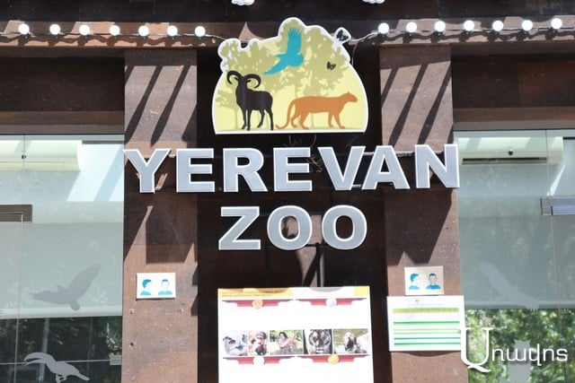 Зоопарк передет на новую территорию. Авинян обещает новый формат