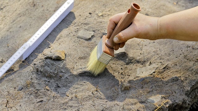 Немецкие археологи нашли 7000-летние зерна вымершей пшеницы. Deutsche Welle