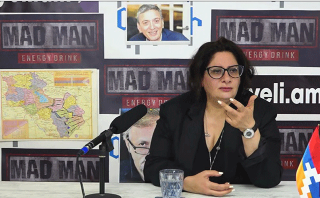 «Никол Пашинян хочет убедить народ, всех нас, что у Армении нет союзников, поэтому, мы вынуждены дружить с турками»: Кристине Назарян