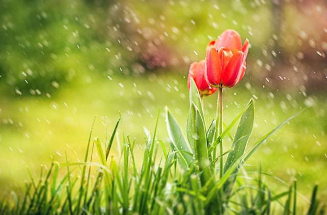 С 7-11 мая ожидается кратковременный дождь с грозой. Во время грозы — усиление ветра