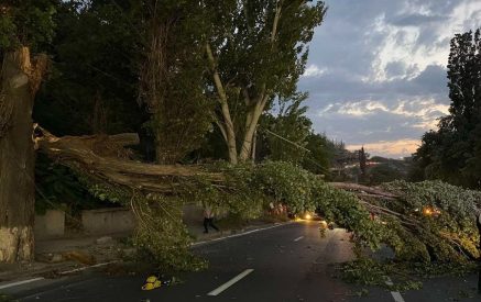 Сильный ветер в Ереване повалил деревья, сорвал рекламные щиты, антенны…