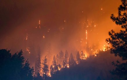 В зоне лесного пожара в Греции найдены тела 18 человек