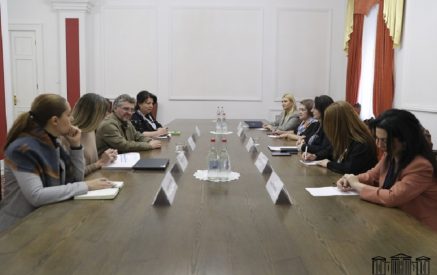 Эрикназ Тигранян встретилась с делегацией во главе со спецдокладчиком ООН Фабианом Сальвиоли