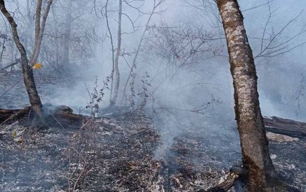 В Дилижанском национальном парке есть дымящиеся очаги