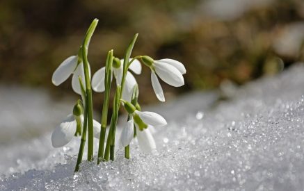 Прогноз погоды на ближайшие 5 дней