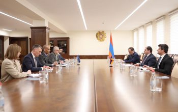 Сурен Папикян принял делегацию во главе с руководителем ереванского офиса Совета Европы