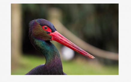 Что происходит сегодня в Армении, Грузии, Азербайджане, все события. JAMnews