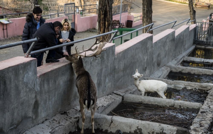 Ереванский зоопарк: шесть лет кризиса и неопределённости