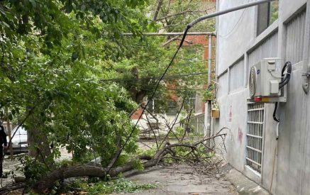 В результате сильного ветра в Ереване были сломаны деревья и повреждены крыши