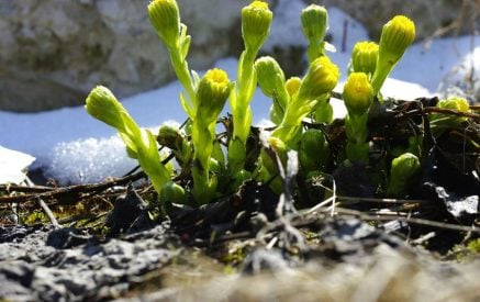 Прогноз погоды на ближайшие 5 дней