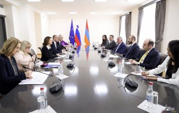 В МИД Армении проходит встреча Тани Файон и Арарата Мирзояна