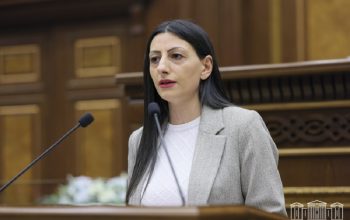 НС обсуждает ежегодное сообщение и доклад о деятельности ЗПЧ РА в 2024 году