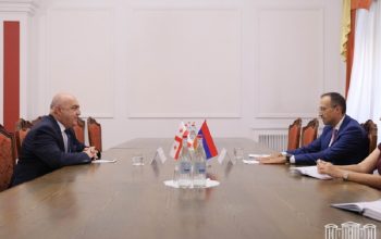 В ходе встречи стороны затронули программы, реализуемые в сфере здравоохранения Армении и Грузии, в частности, вакцинации от гриппа и медстрахования